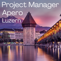 Project Managers Networking Apéro in Luzern (July 2025)