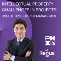 Intellectual Property Challenges in Projects: Useful Tips for Risk Management