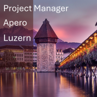 Project Managers Networking Event in Luzern (February 2026)